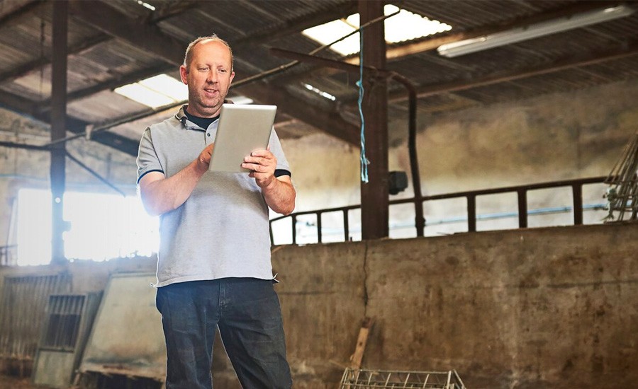Mobile Broadband Connectivity for SME Male farmer on tablet in cow shed